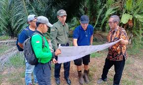 Implementasi WiFi Publik Desa Berau Indah